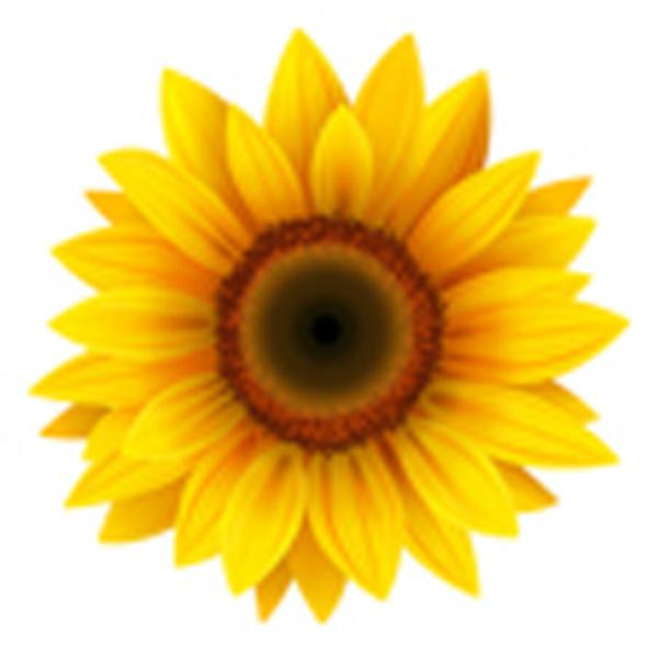Centre Les Tournesols club de forme