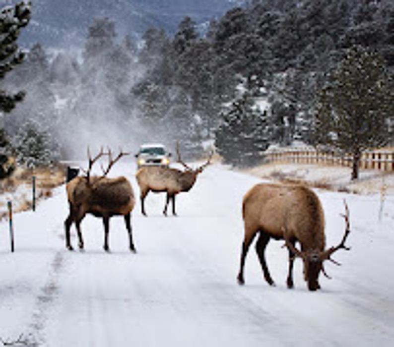 Kelleys Mobile RV Repair - Lake Charles, LA