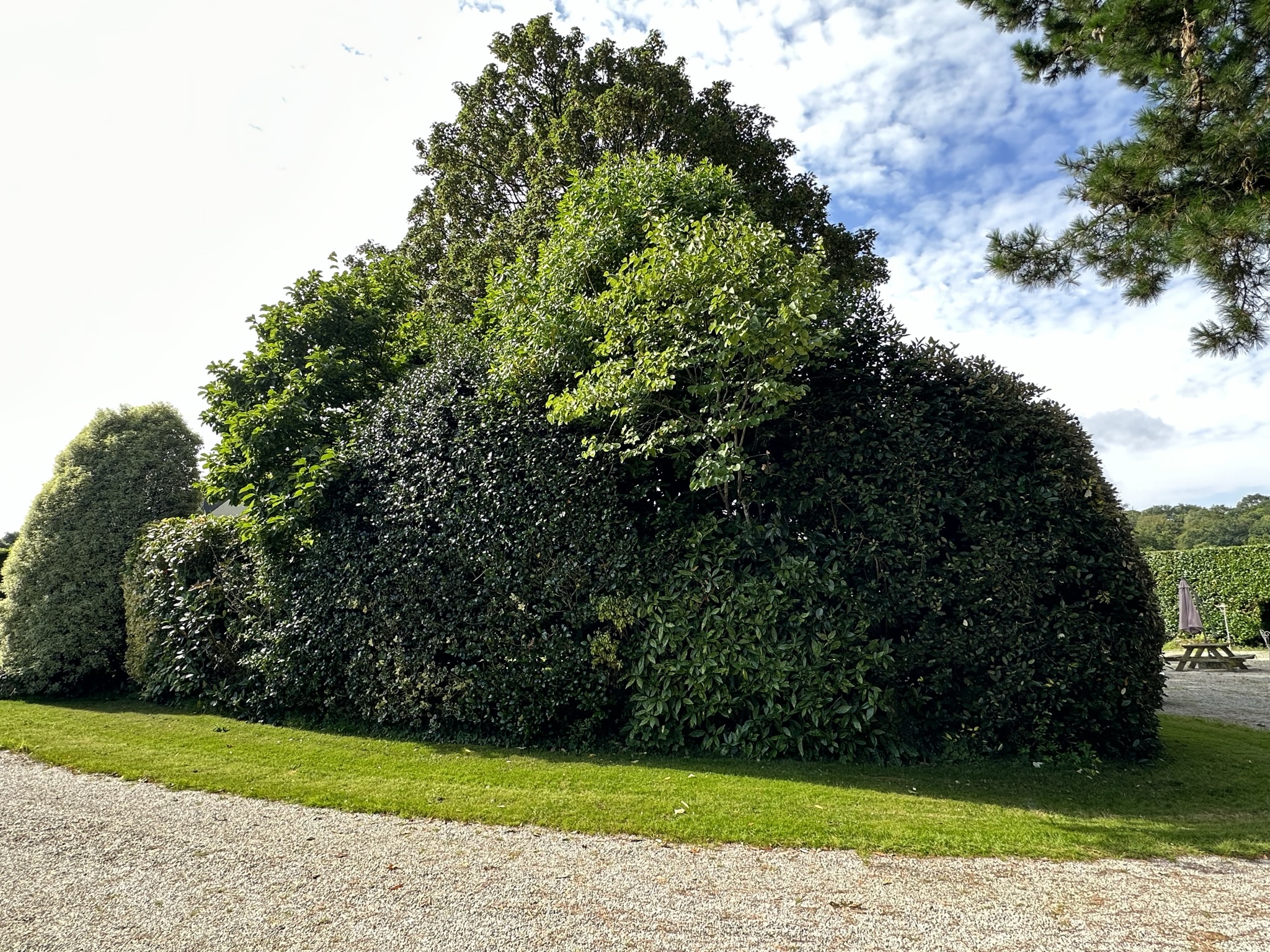 galerie image