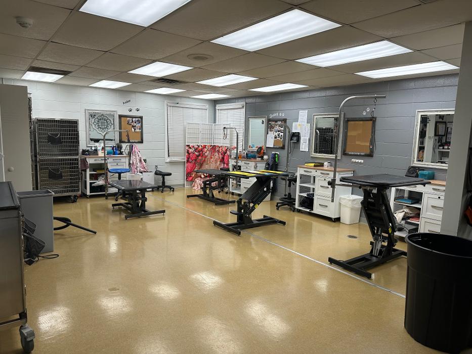 Petsburgh Pet Care Image