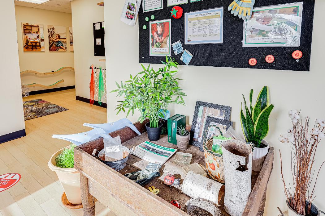 Bright Horizons at Western Springs - Western Springs, IL