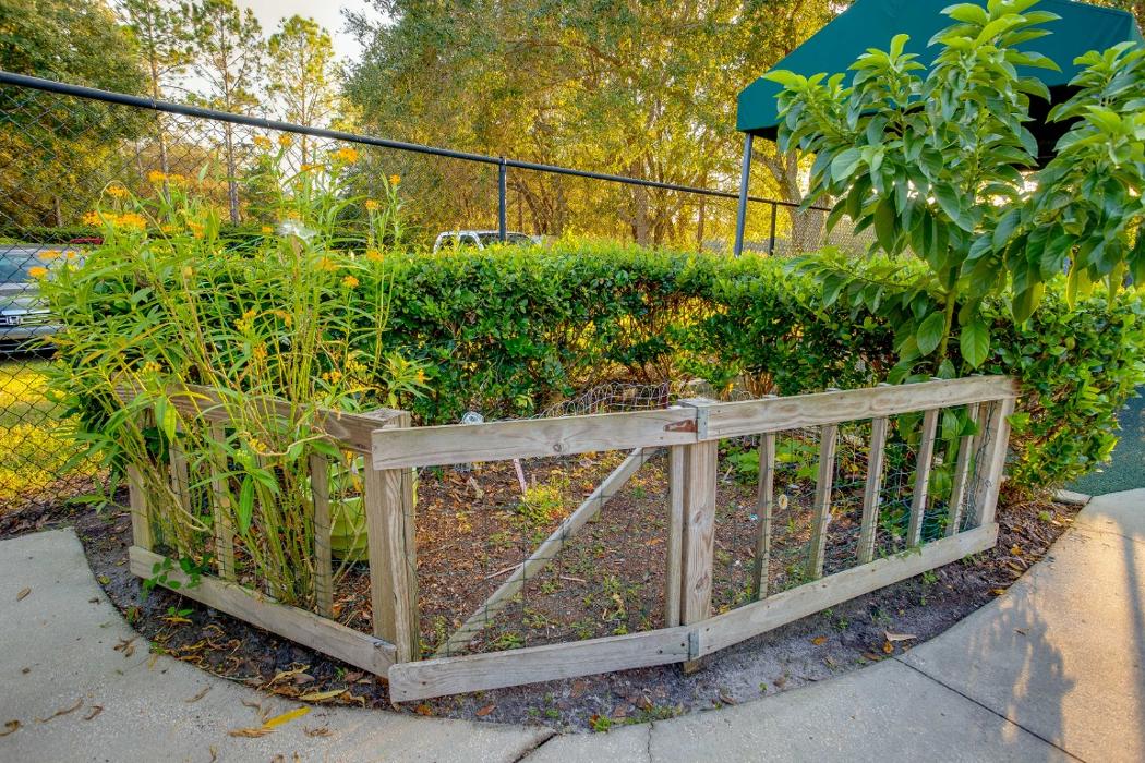 Bright Horizons at Hunter's Green - Tampa, FL