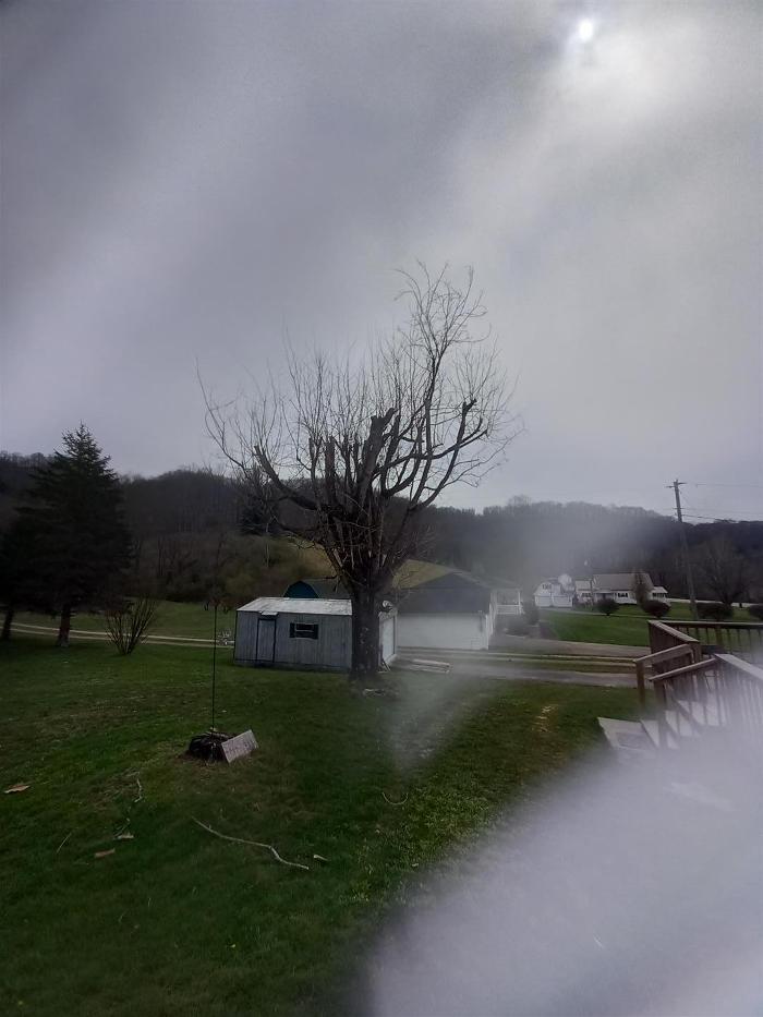 Wyrick Tree Service - Oakvale, WV