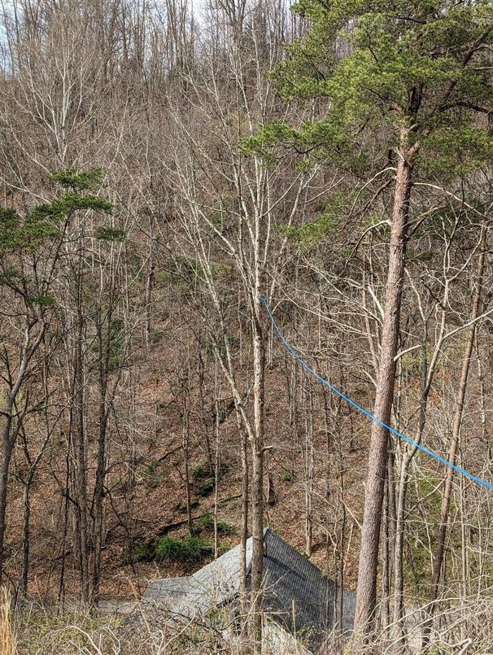 Wyrick Tree Service - Oakvale, WV