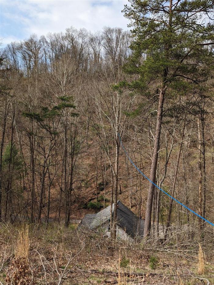 Wyrick Tree Service - Oakvale, WV