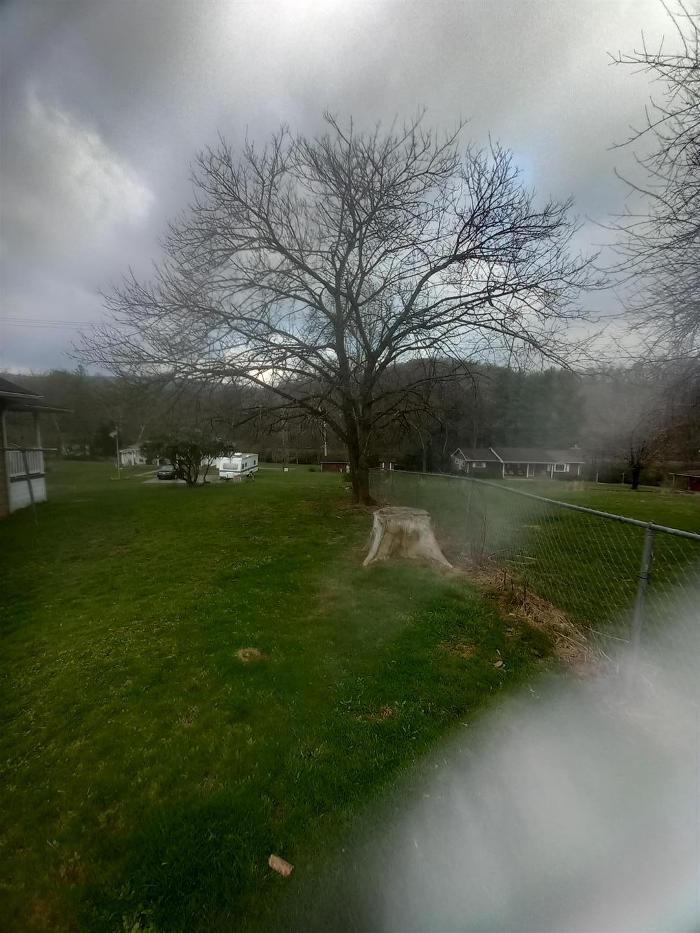 Wyrick Tree Service - Oakvale, WV