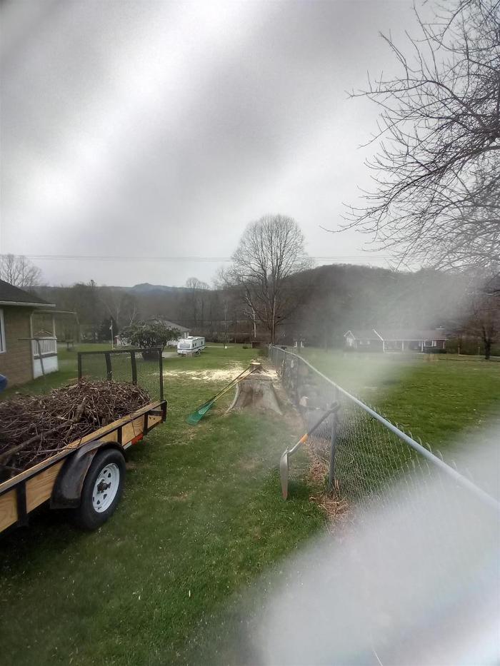 Wyrick Tree Service - Oakvale, WV