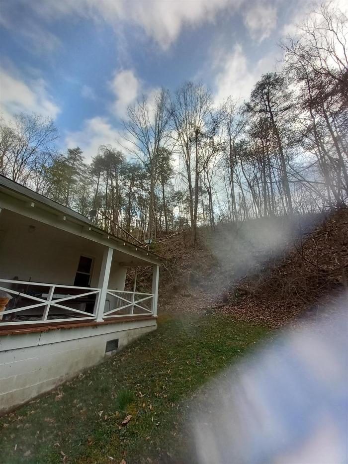 Wyrick Tree Service - Oakvale, WV