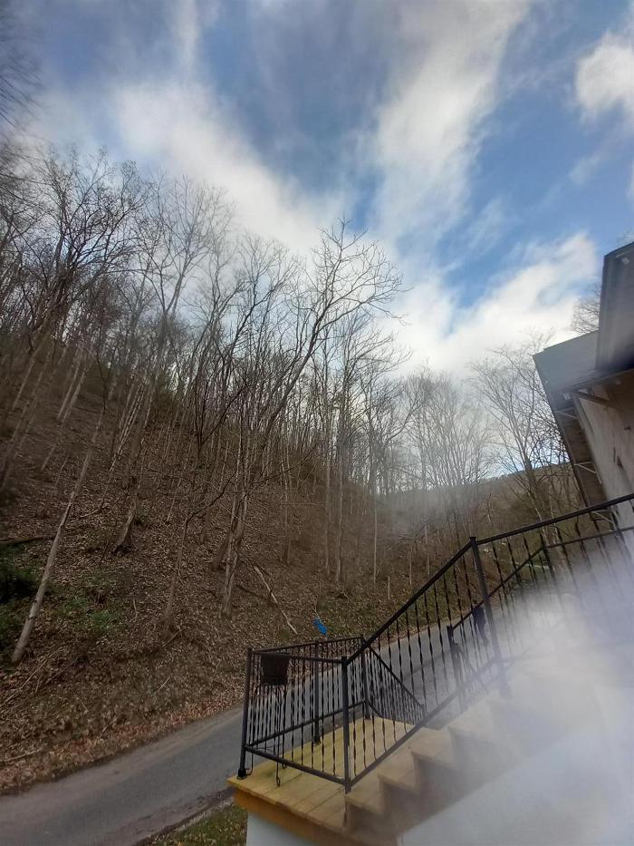 Wyrick Tree Service - Oakvale, WV