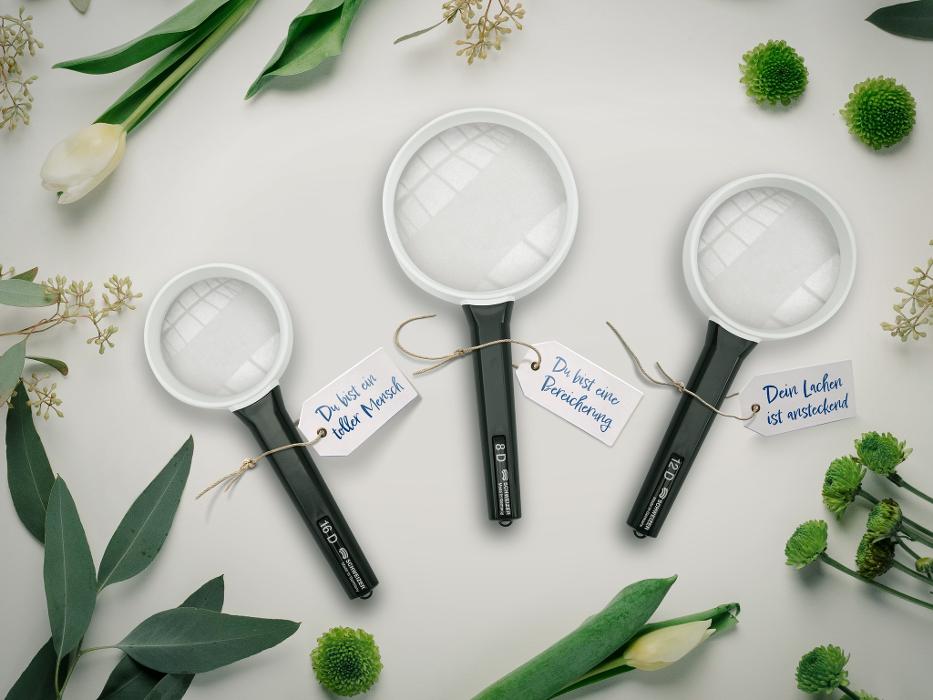 SCHWEIZER OPTIK GmbH, Ferdinand-Porsche-Gasse in Felixdorf