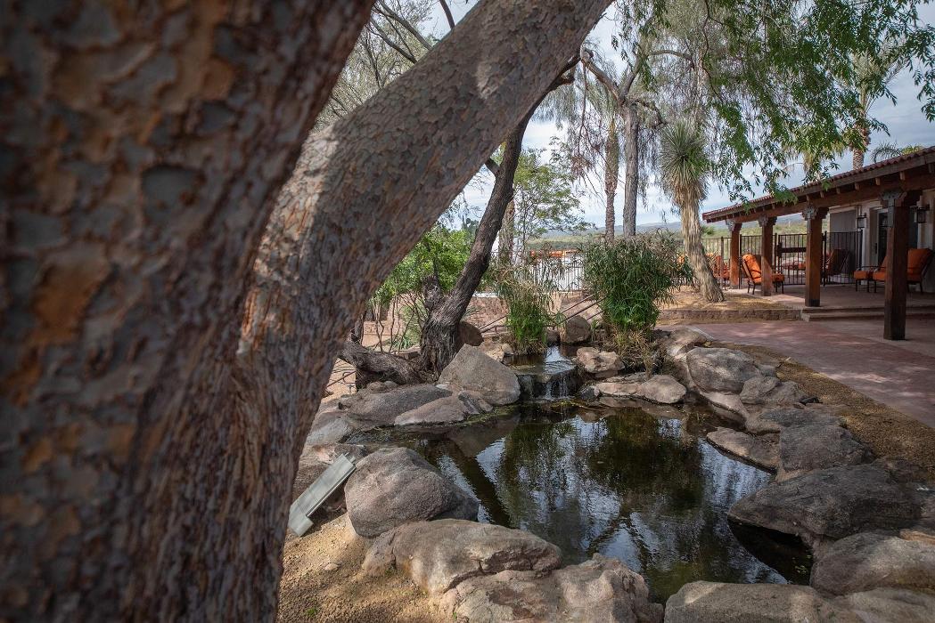 The Meadows Adolescent Center - Morristown, AZ