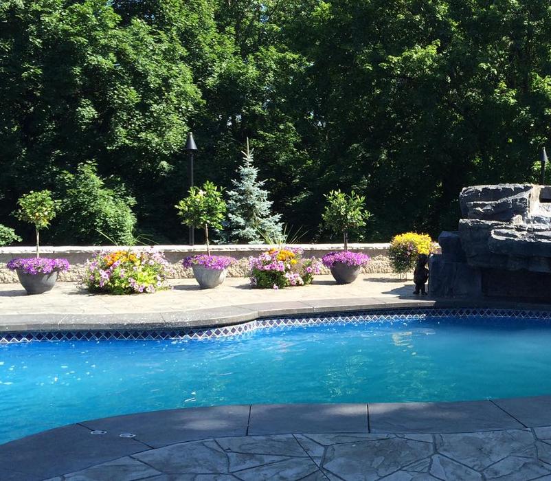 Oasis Pool & Spa - Lima, NY