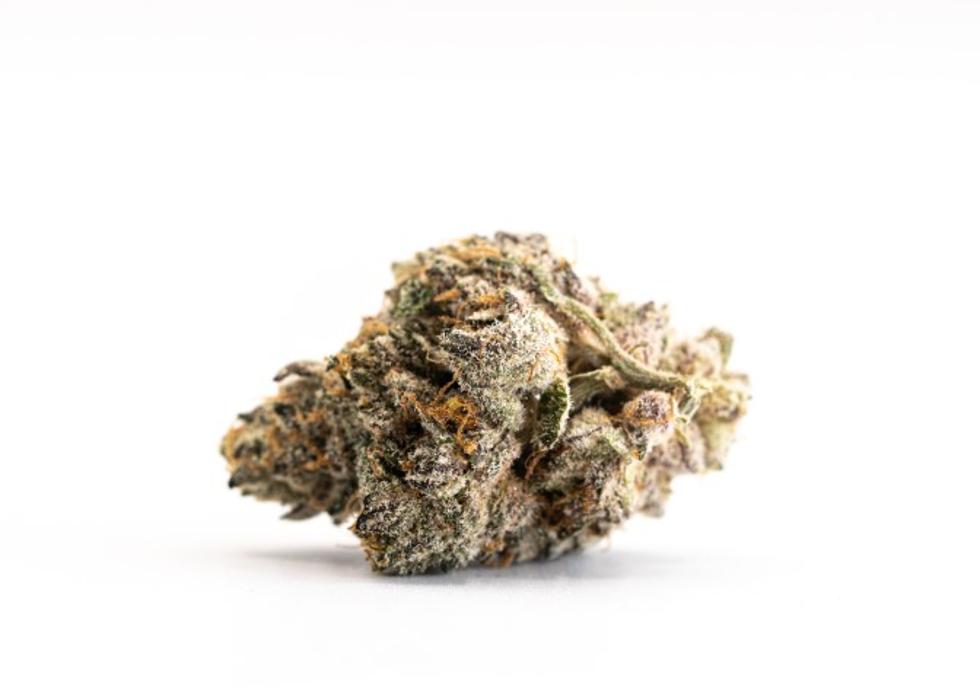 JARS Cannabis - Yuma - Somerton, AZ