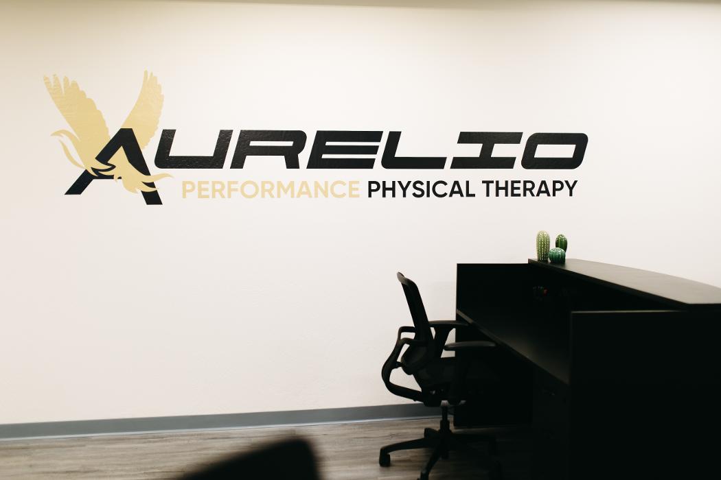 Aurelio Performance Physical Therapy of Scottsdale - Scottsdale, AZ