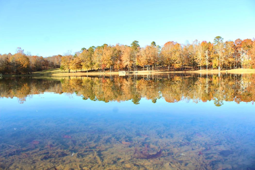 Brookwood - Bruce, MS