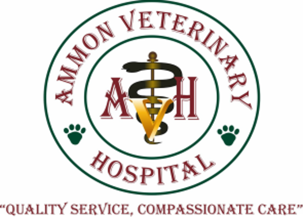 Ammon Veterinary Hospital Image
