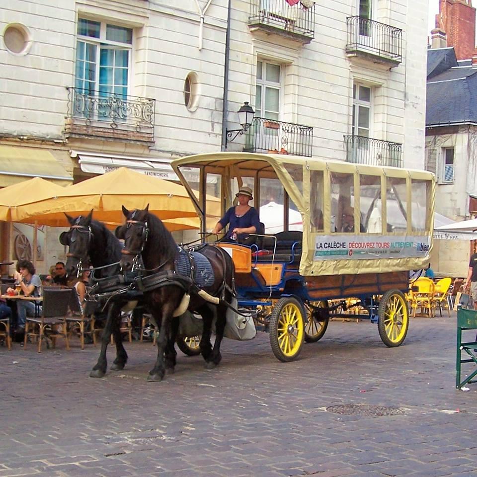galerie image