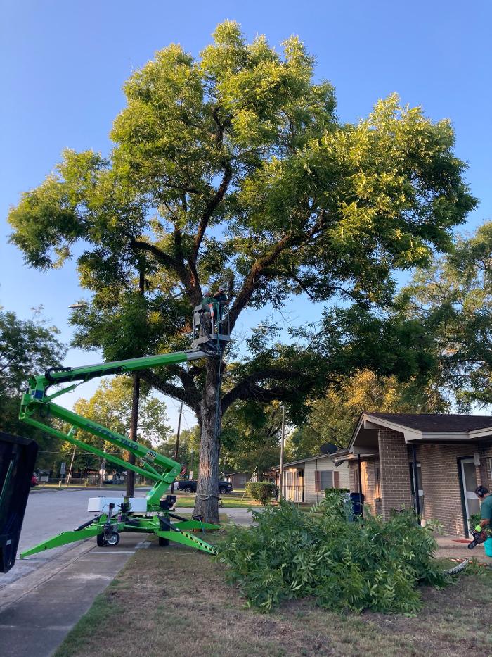 C&B Tree Service - Lufkin, TX
