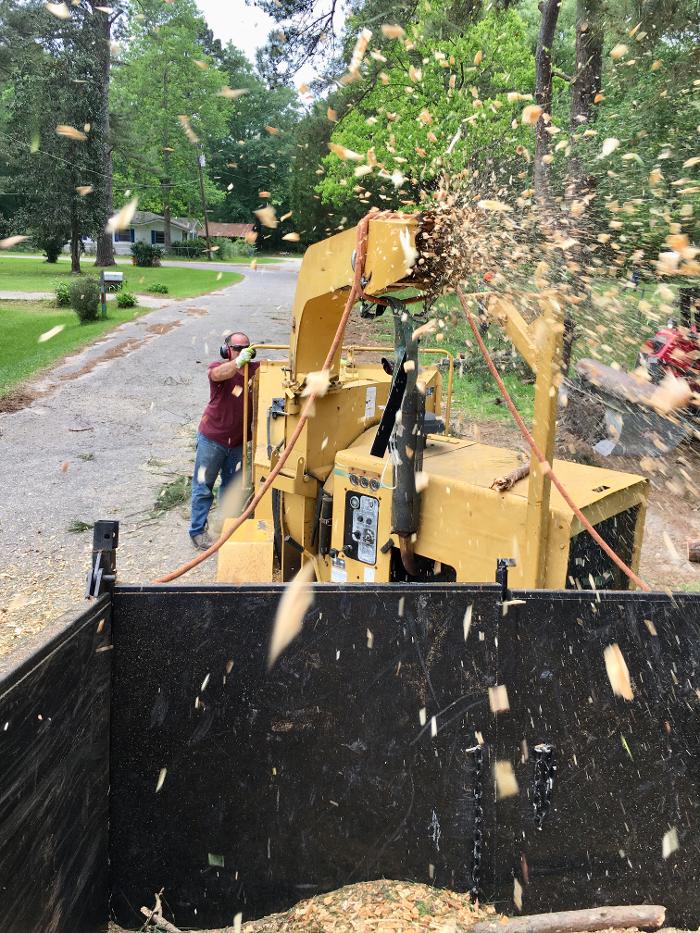 C&B Tree Service - Lufkin, TX