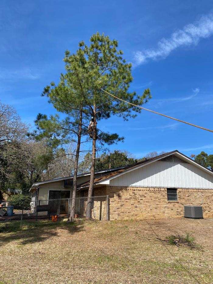 C&B Tree Service - Lufkin, TX