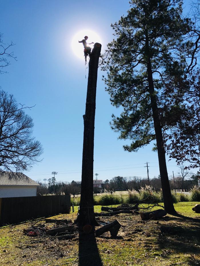 C&B Tree Service - Lufkin, TX