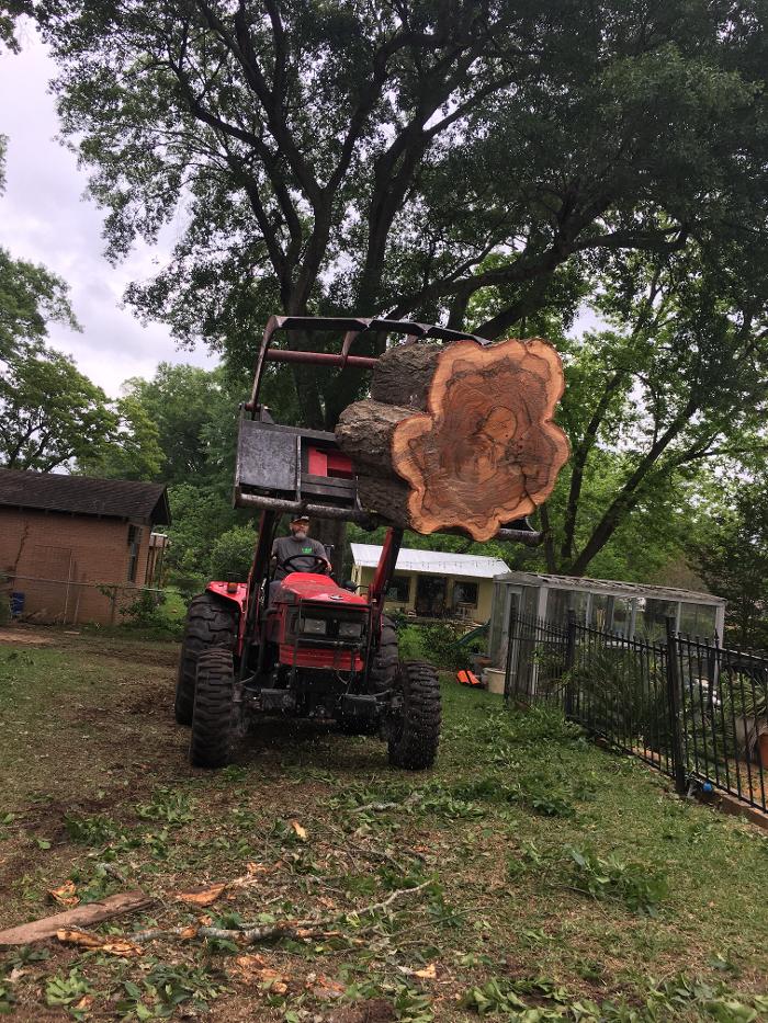C&B Tree Service - Lufkin, TX
