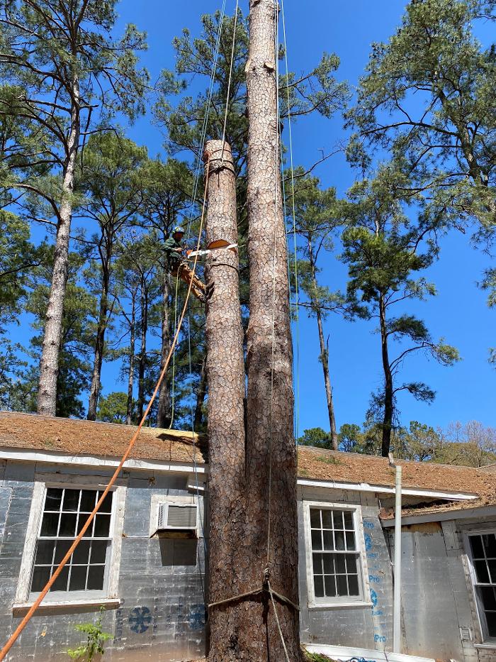 C&B Tree Service - Lufkin, TX