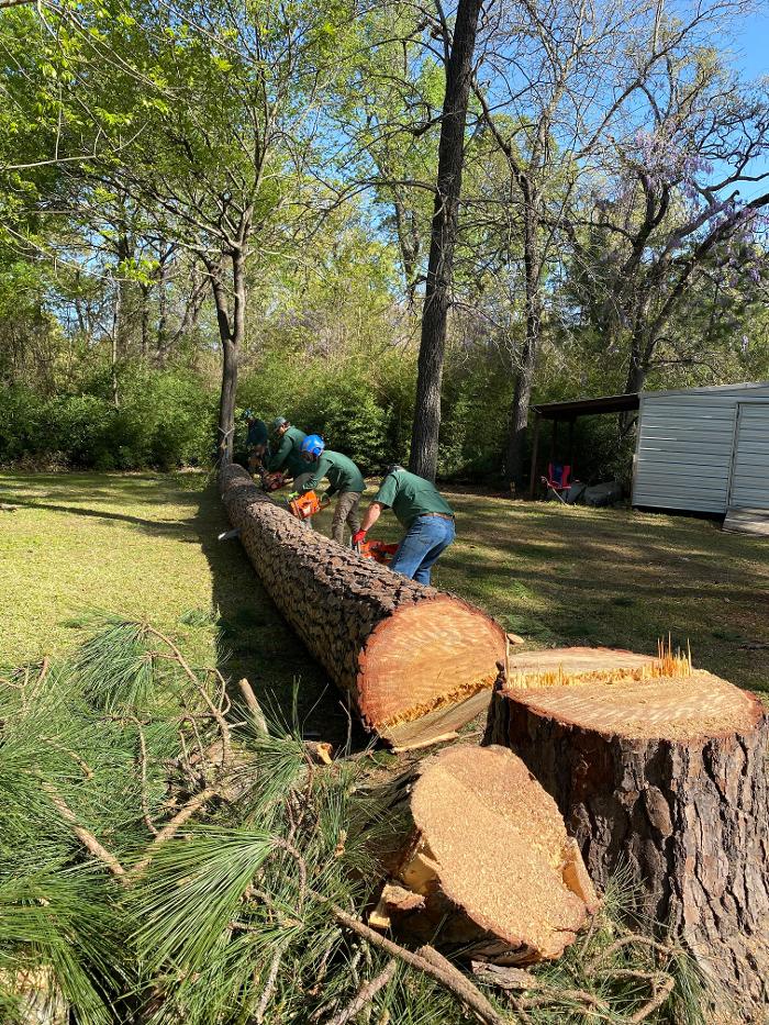 C&B Tree Service - Lufkin, TX