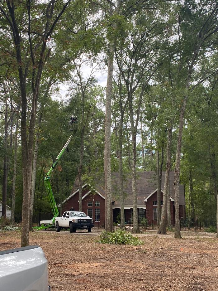 C&B Tree Service - Lufkin, TX