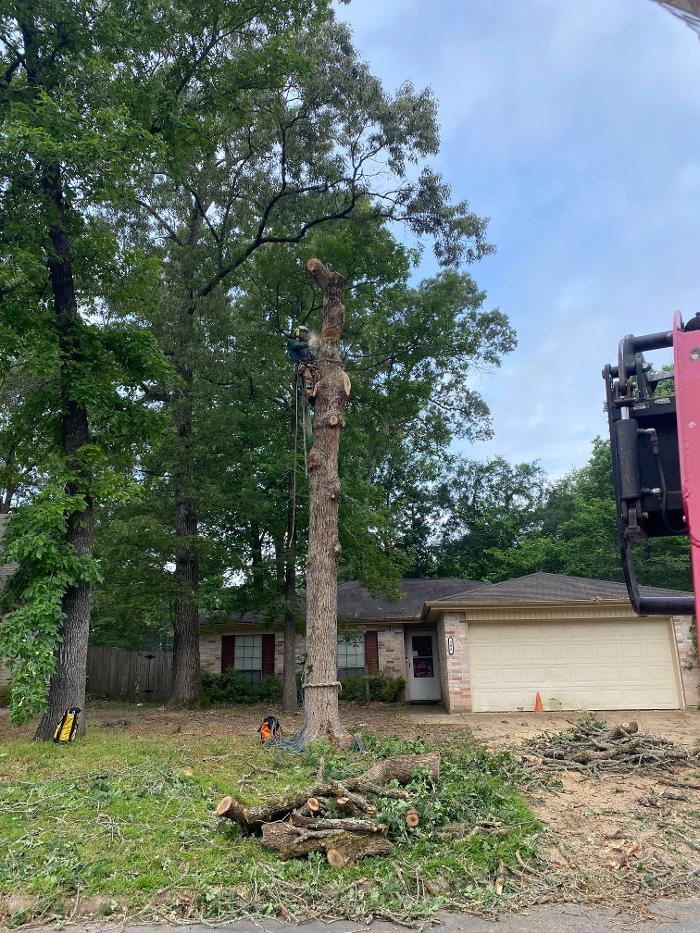 C&B Tree Service - Lufkin, TX