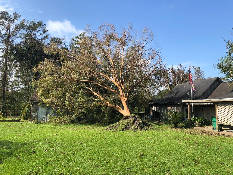 C&B Tree Service - Lufkin, TX