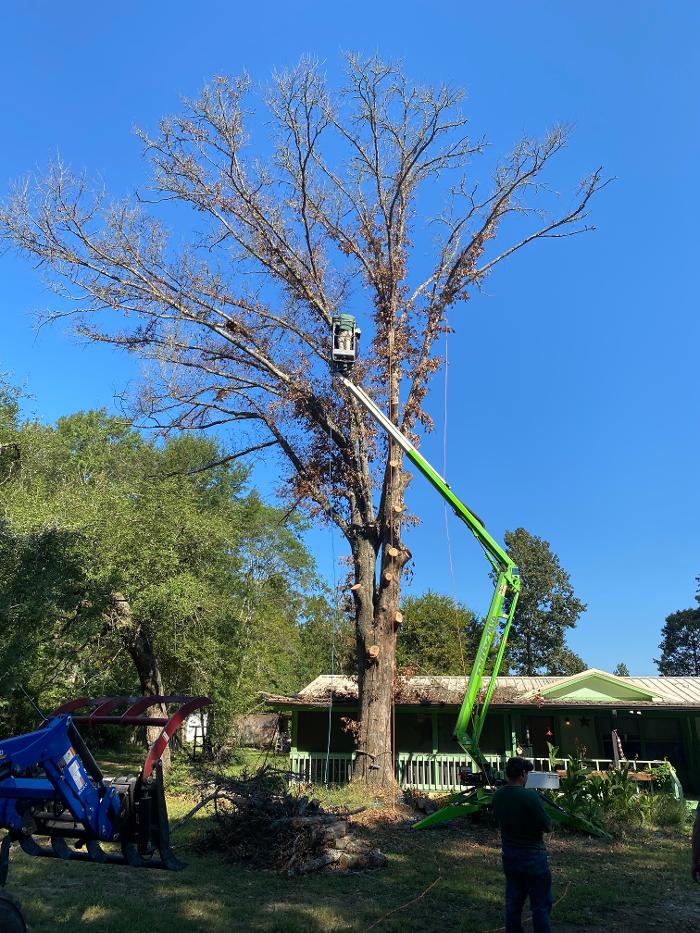 C&B Tree Service - Lufkin, TX