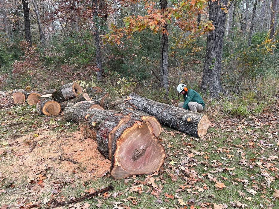 C&B Tree Service - Lufkin, TX