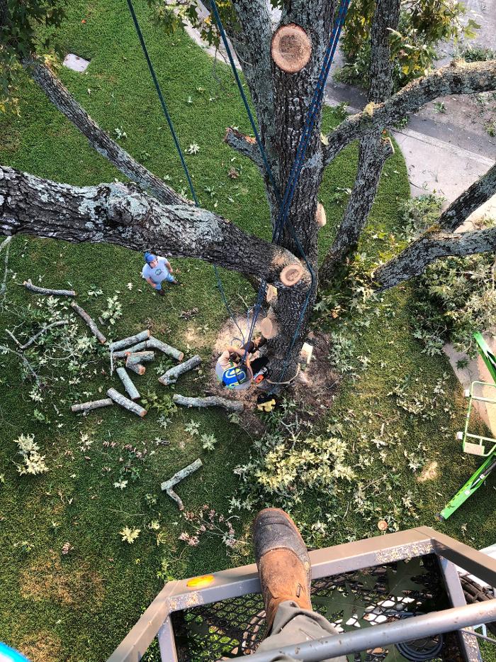 C&B Tree Service - Lufkin, TX