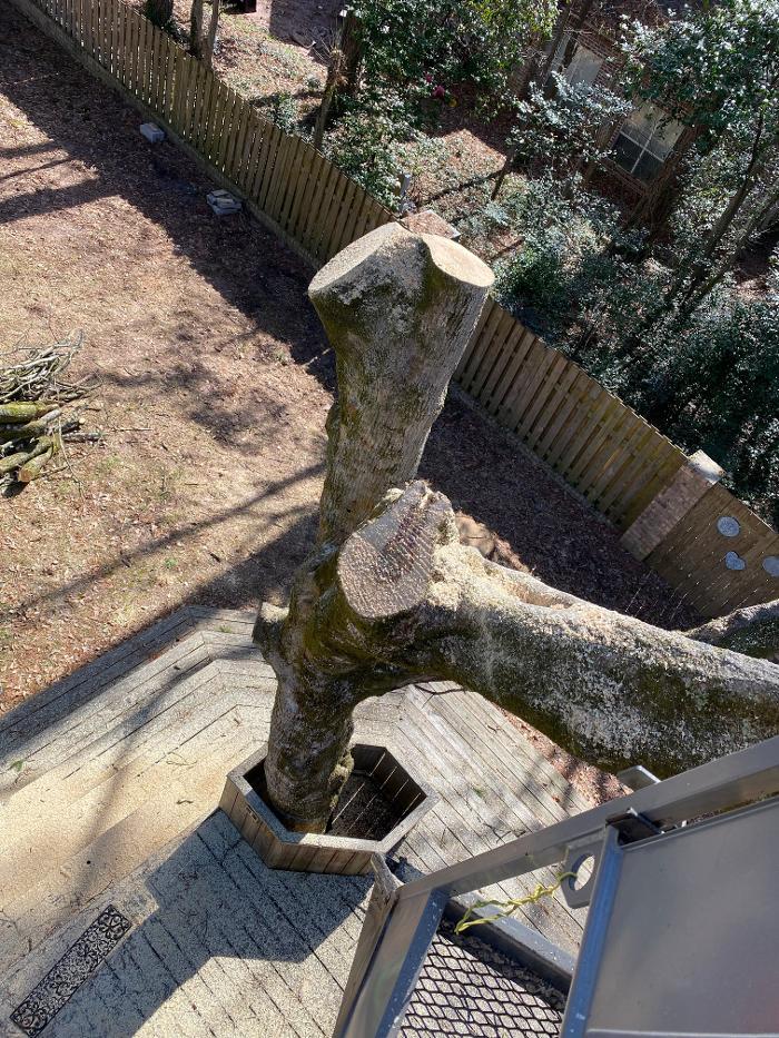 C&B Tree Service - Lufkin, TX