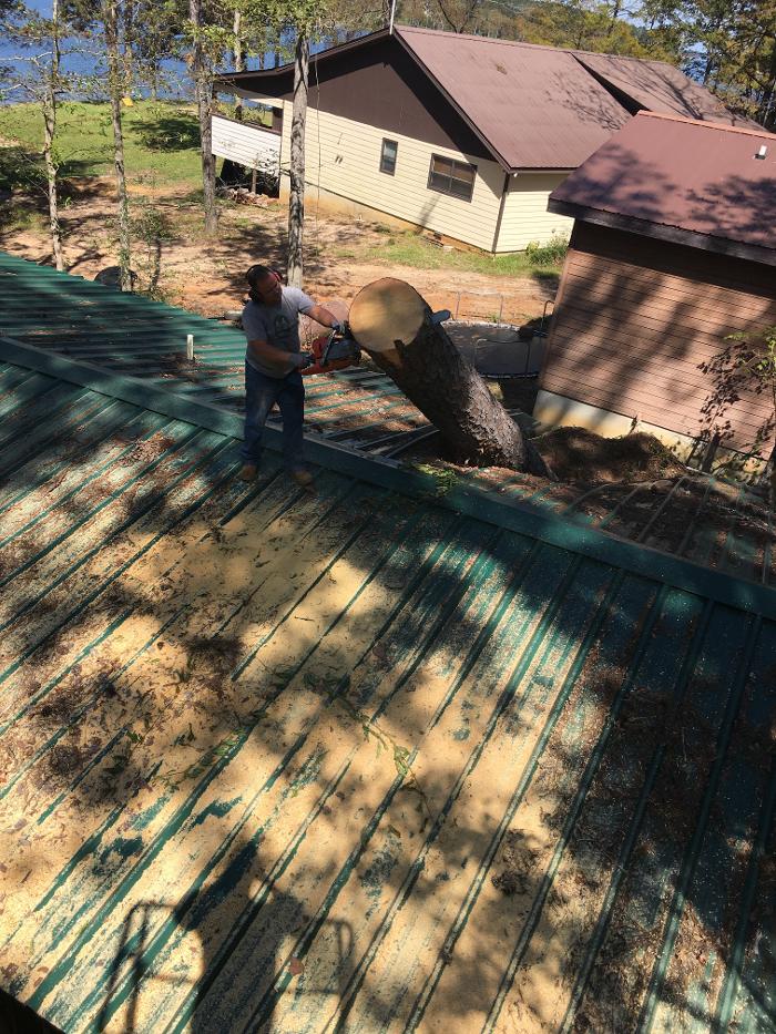 C&B Tree Service - Lufkin, TX