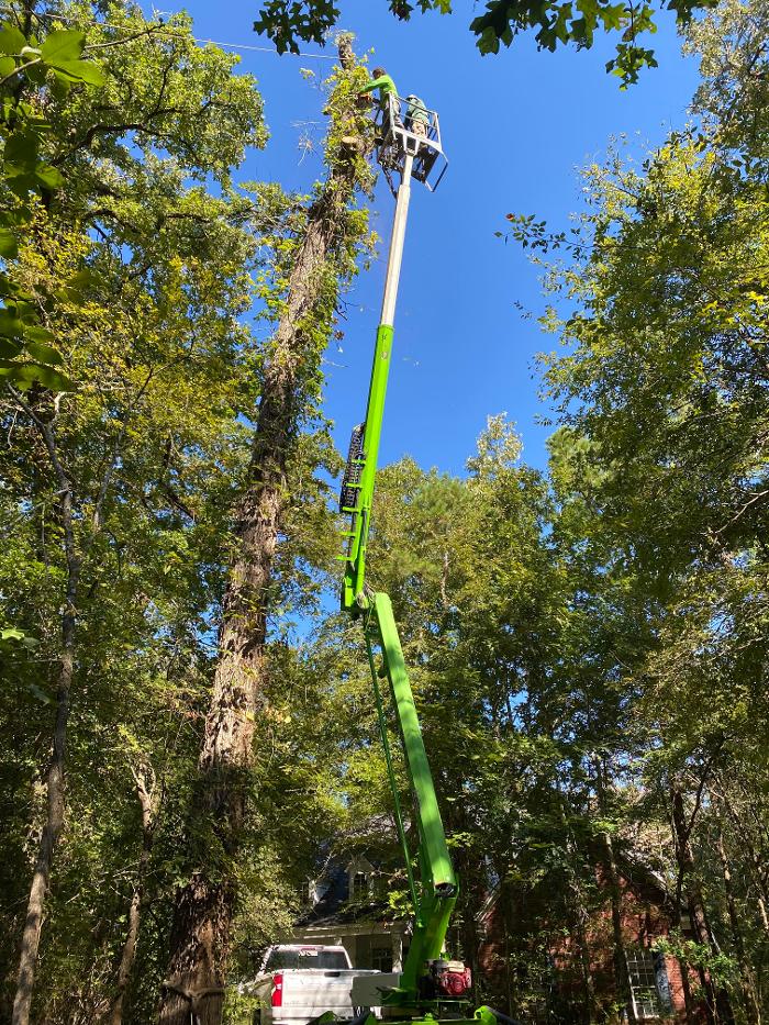 C&B Tree Service - Lufkin, TX
