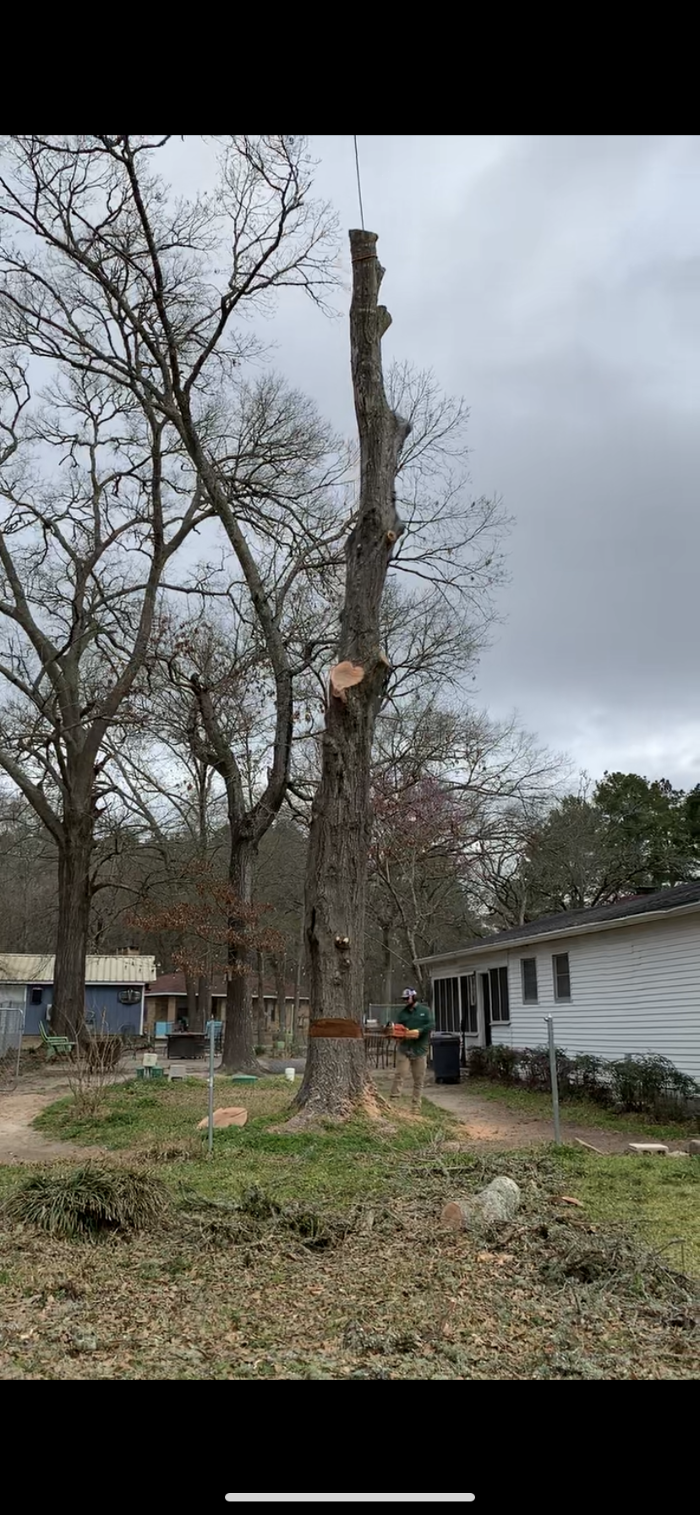 C&B Tree Service - Lufkin, TX