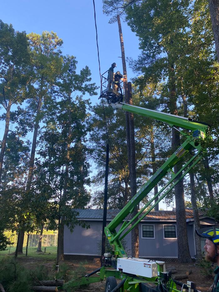 C&B Tree Service - Lufkin, TX