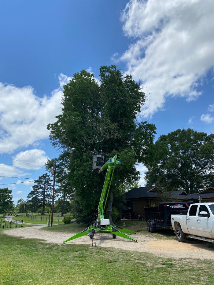 C&B Tree Service - Lufkin, TX