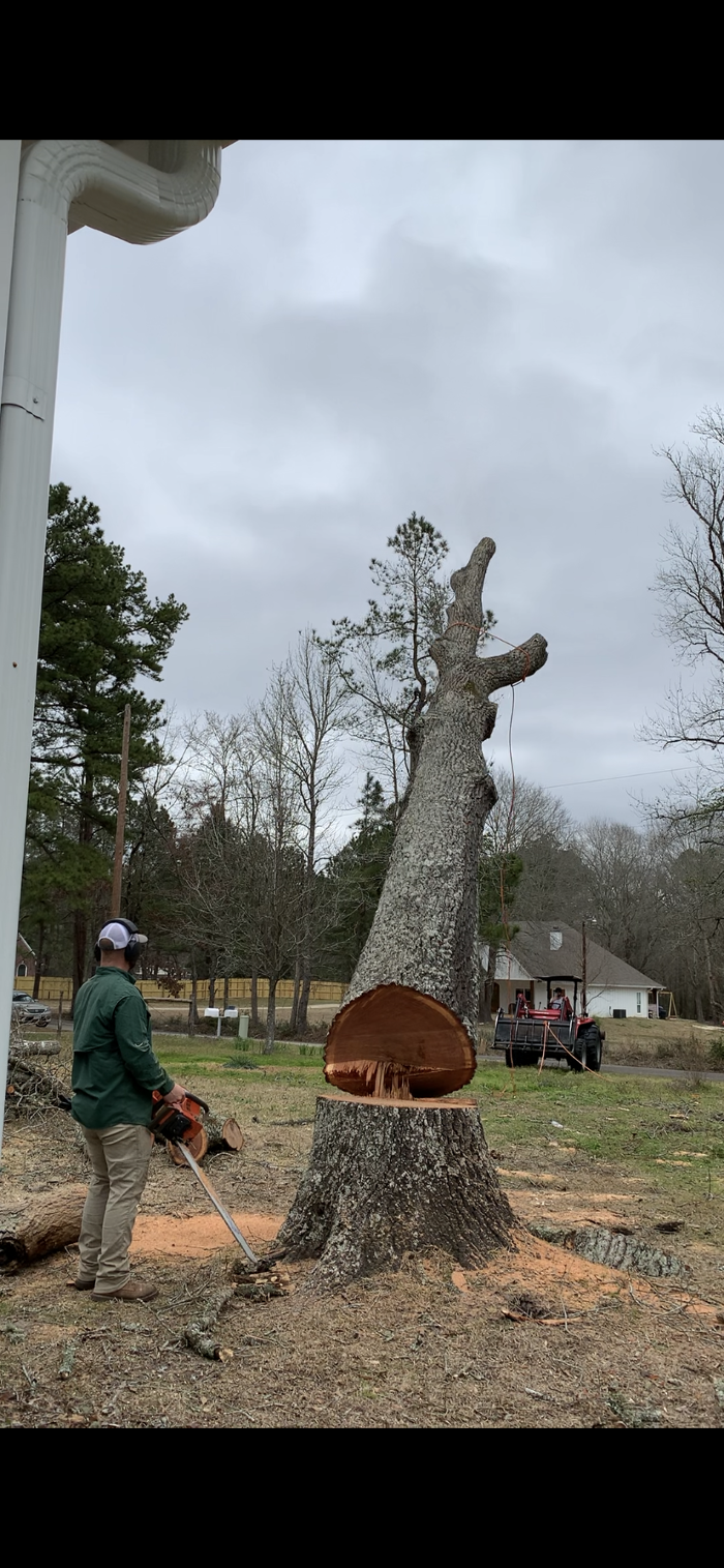 C&B Tree Service - Lufkin, TX