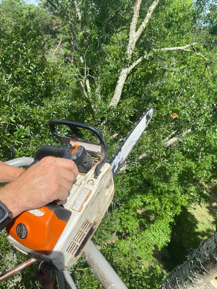 C&B Tree Service - Lufkin, TX