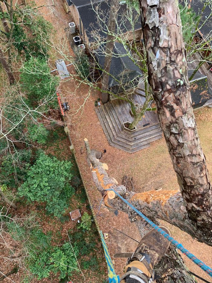 C&B Tree Service - Lufkin, TX