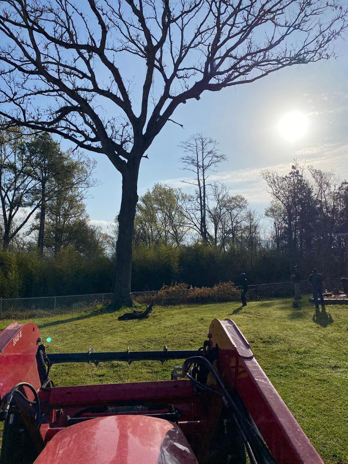 C&B Tree Service - Lufkin, TX