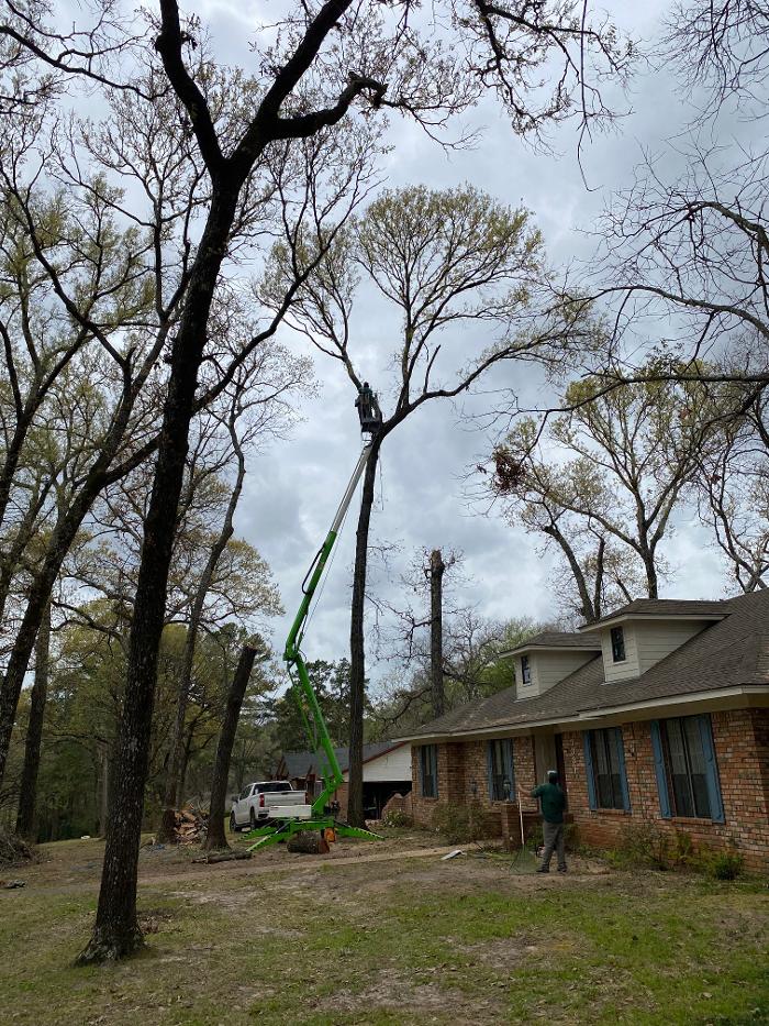 C&B Tree Service - Lufkin, TX