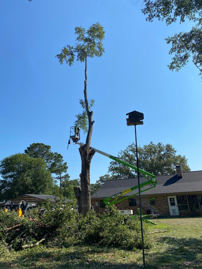 C&B Tree Service - Lufkin, TX