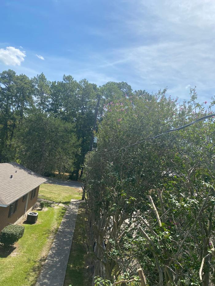 C&B Tree Service - Lufkin, TX