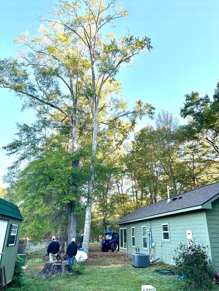 C&B Tree Service - Lufkin, TX