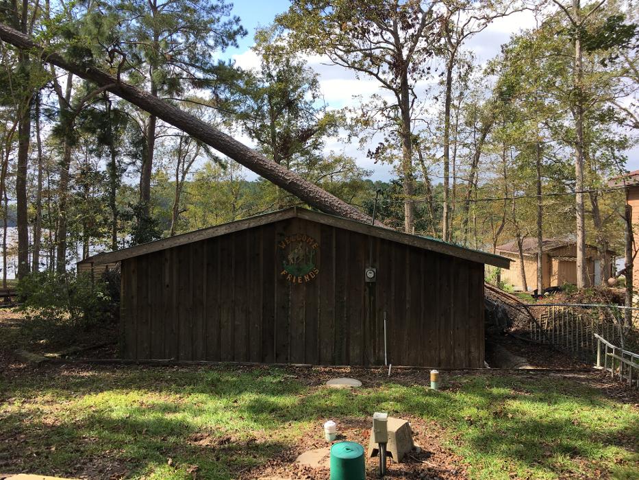 C&B Tree Service - Lufkin, TX