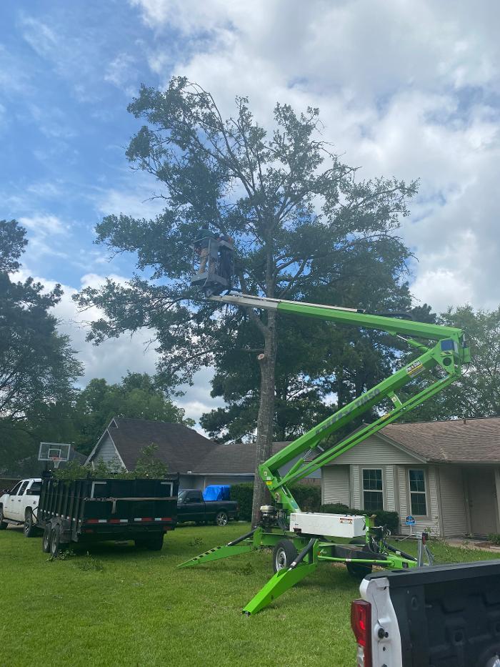 C&B Tree Service - Lufkin, TX